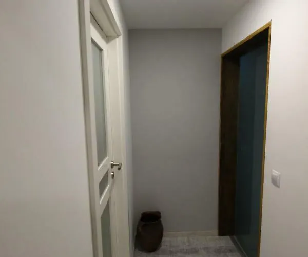 公寓 Loczy 巴拉顿菲赖德